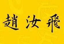 赵汝飞练字