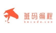 斑碼編程